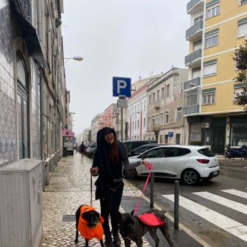 Tia Simone - Alenquer - Promenade de chiens