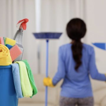 Santa Ajuda Serviços de Limpezas e Apoio a Idosos. - Póvoa de Varzim - Limpeza de Propriedade