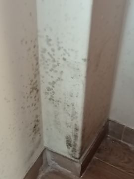 Empresa de Impermeabilização - Casa