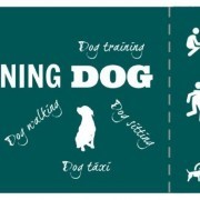 Dog Training Dog - Olhão - Creche para Cães