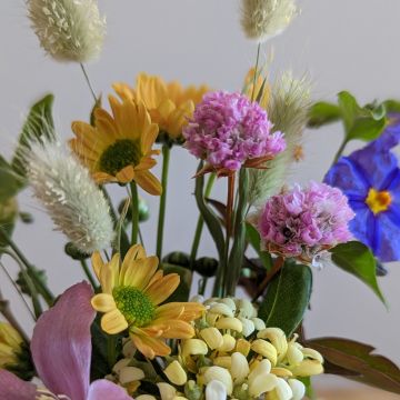 Dina Maria - Oficina das flores - Cascais - Florista