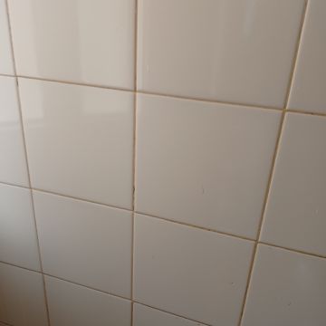 Liliana fortes - Sesimbra - Commercial Cleaning