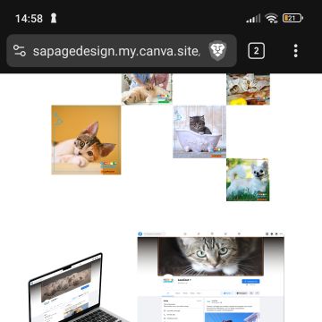 Sapage design - Tomar - Graphiste