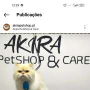 AKIRA PetShop&Care - Amadora - Cat Sitting