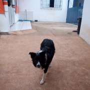 Raphaella - Sintra - Commercial Cleaning