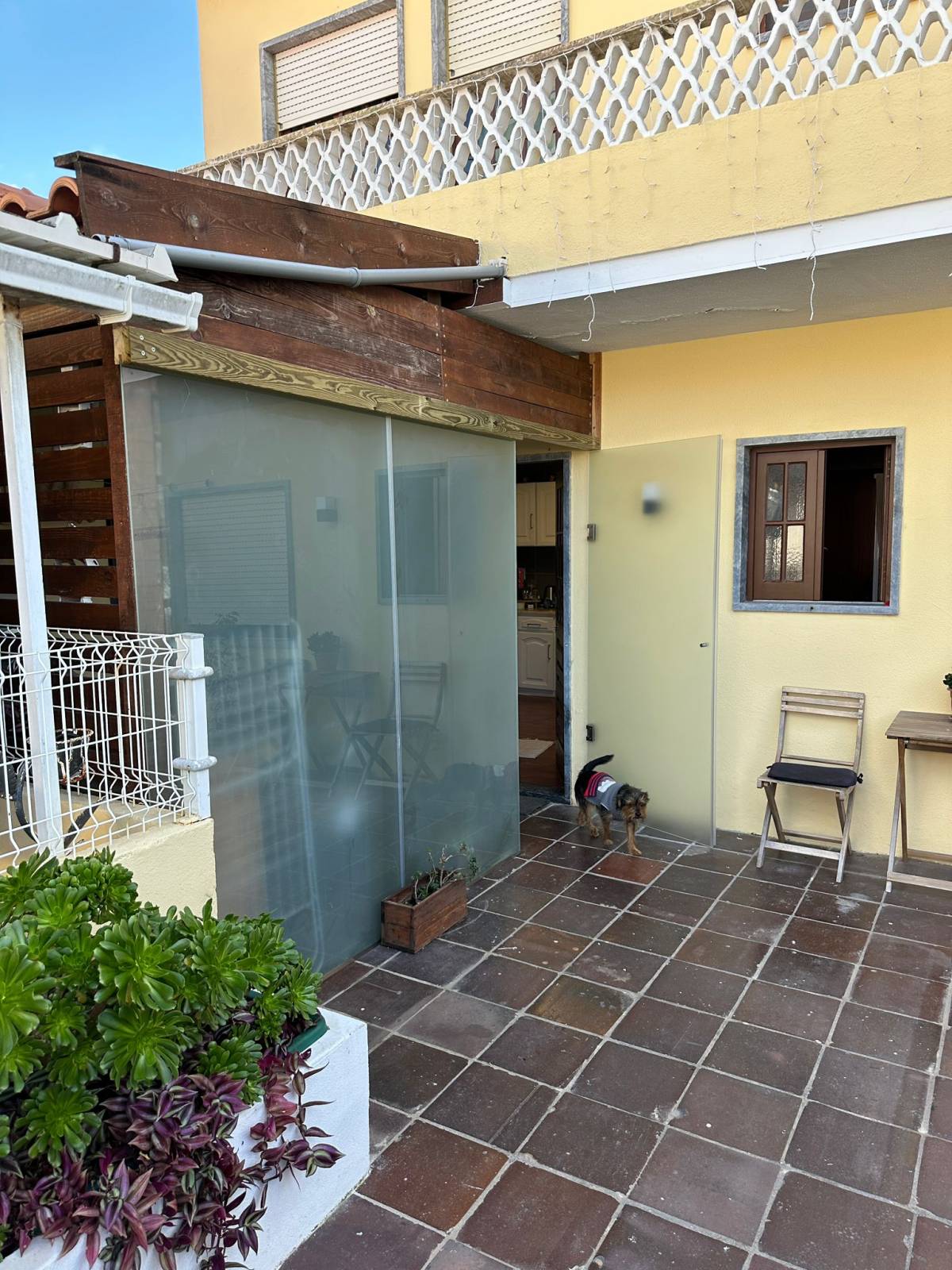 Renato Reparações - Torres Vedras - Pintura Exterior