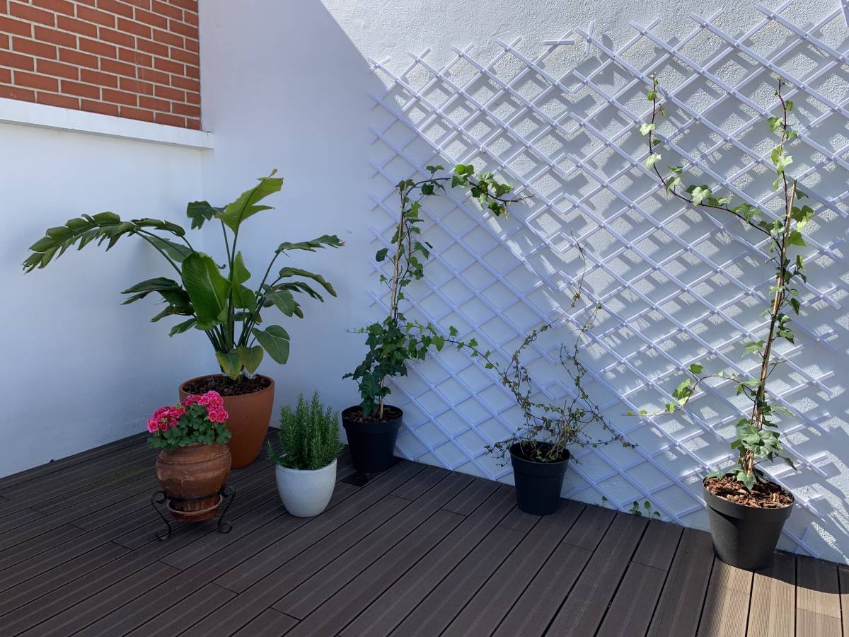 Jardinagem e Relvados