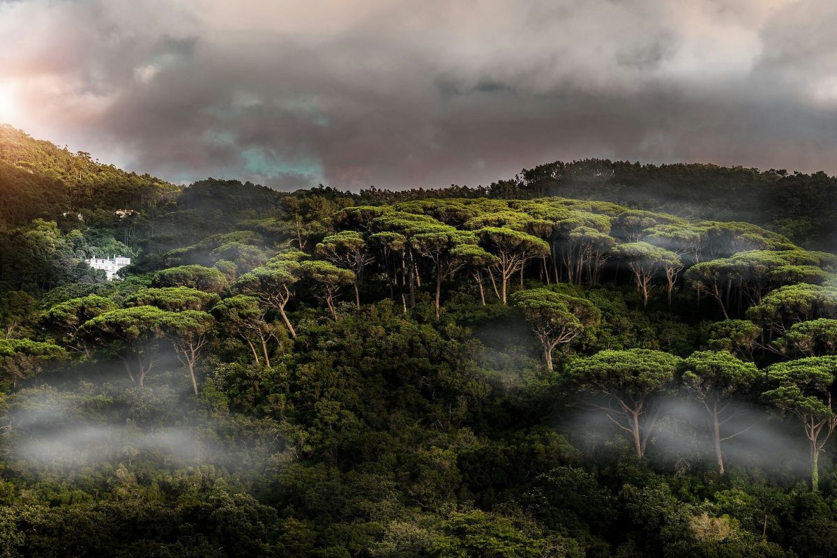 Nuno David Ferreira - Loures - Commercial Photography
