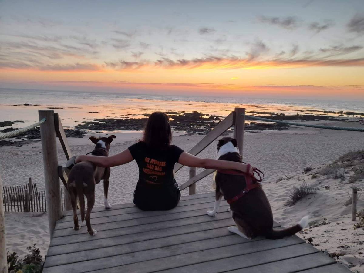Petsitter - Esposende - Cuidar tus gatos
