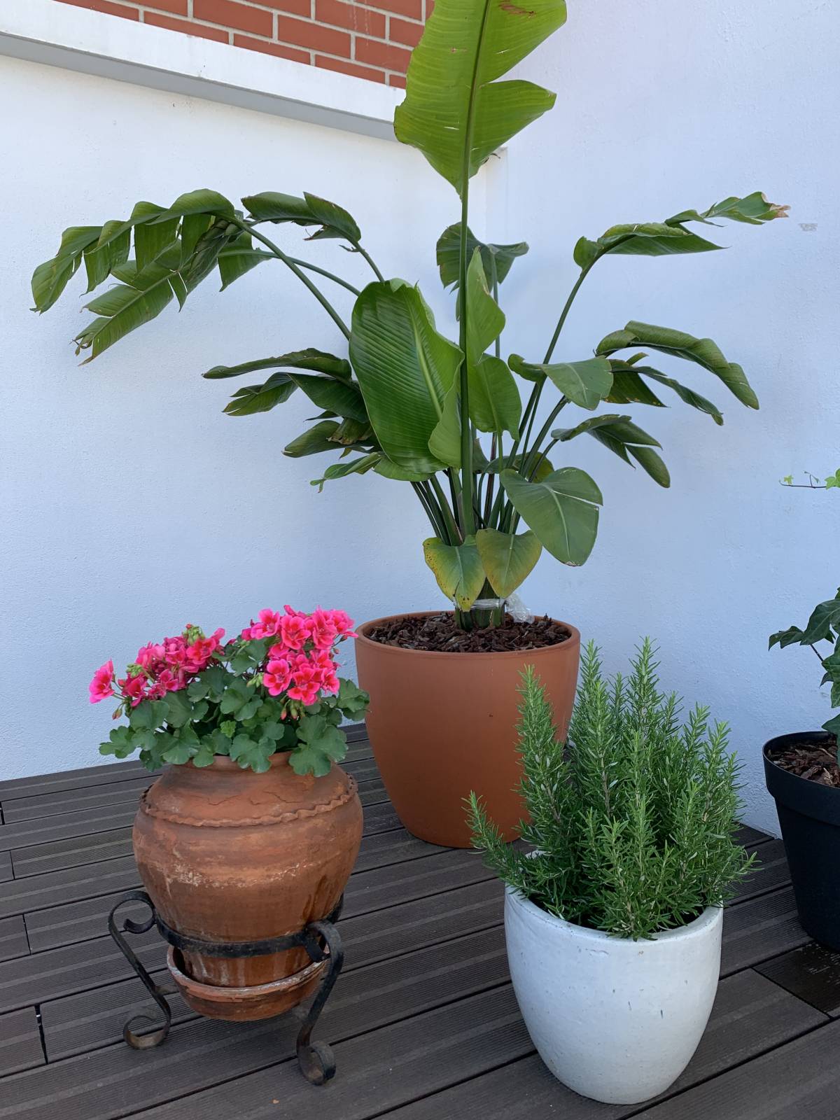 Jardinagem