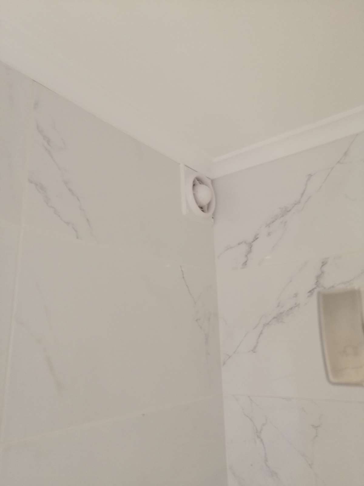 ricardo - Sintra - Plumbing