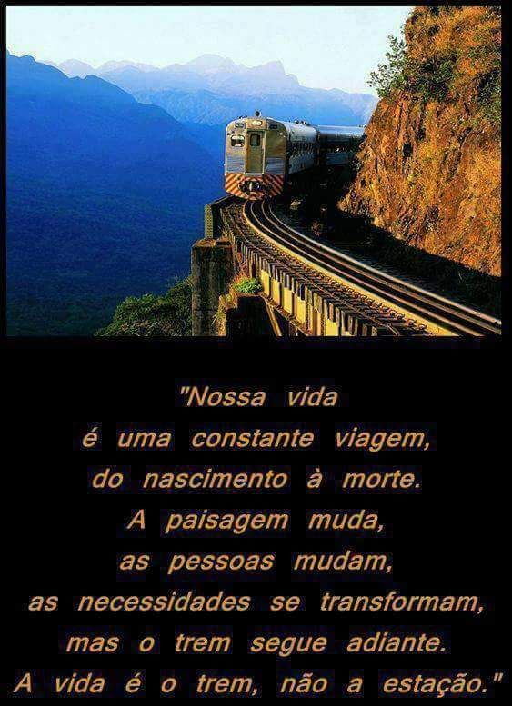 Elisabete narciso - Cartaxo - Limpeza a Fundo