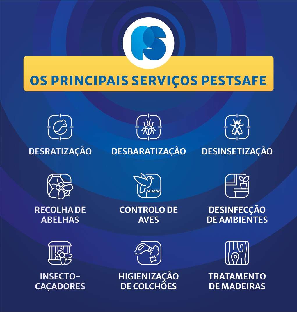 Jorge Vaz - Diretor Técnico PestSafe - Coimbra - Bed Bug Extermination