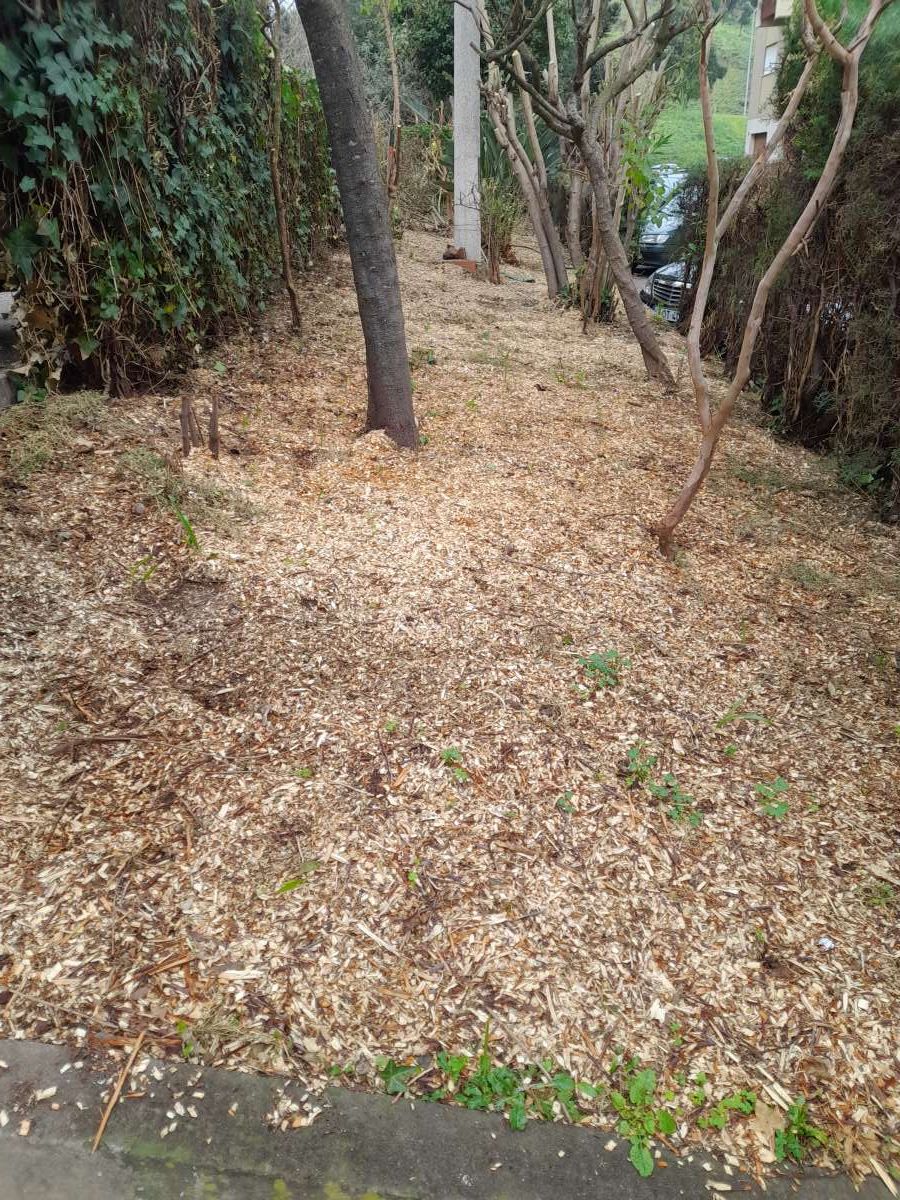 COR & ALEGRIA - SERVIÇOS DE MANUTENÇÃO, LDA - Coimbra - Greenhouse Services