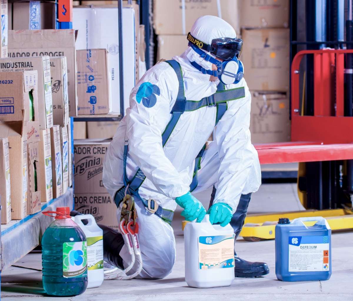 Jorge Vaz - Diretor Técnico PestSafe - Coimbra - Pest Extermination Companies