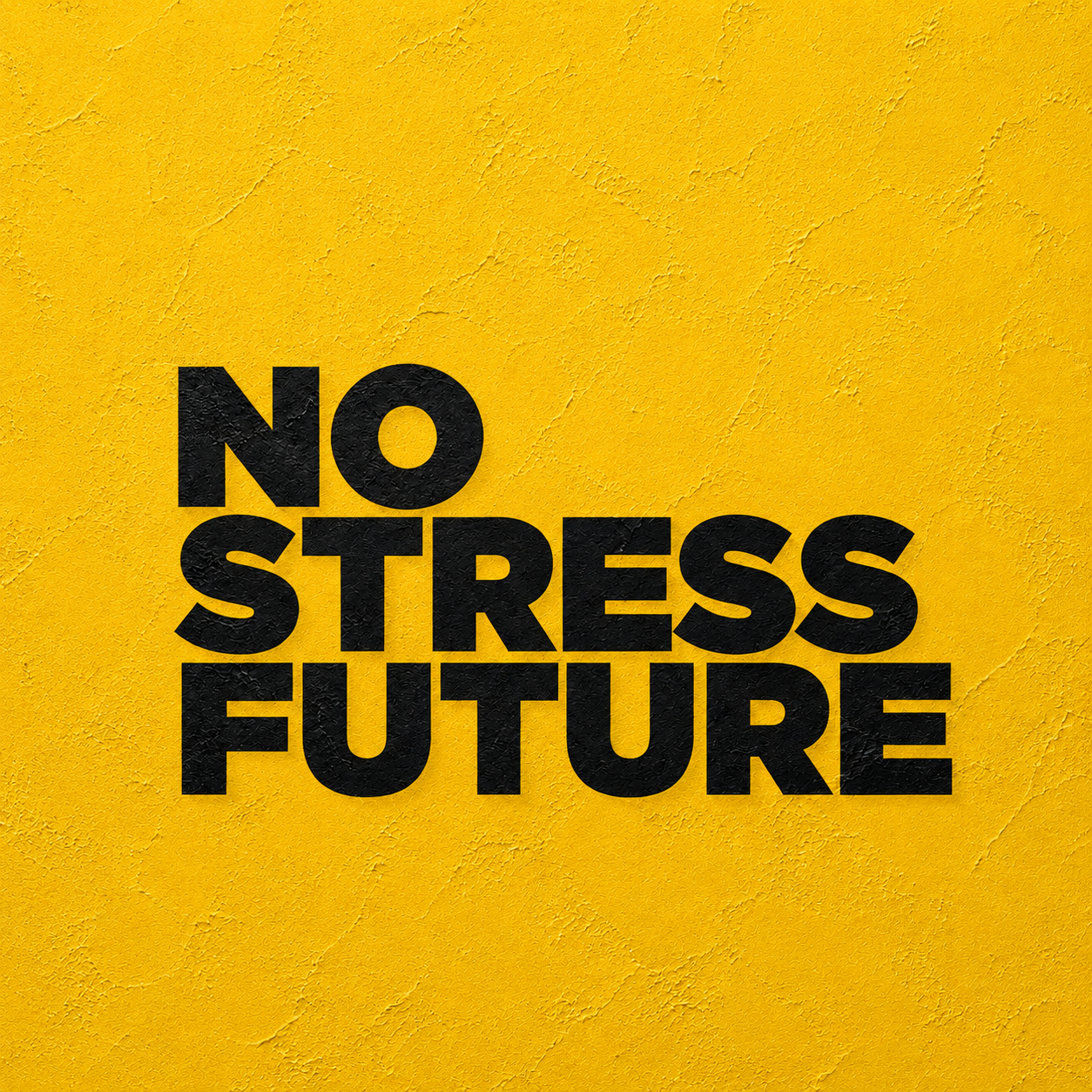 No Stress Future - Tomar - Mikrozement