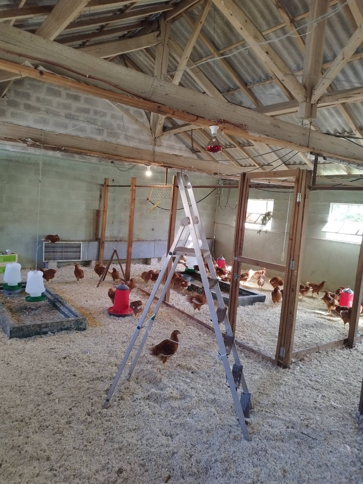 MultiHelp - Técnico Weslley - Barcelos - Installation von Lichtschaltern und Steckdosen