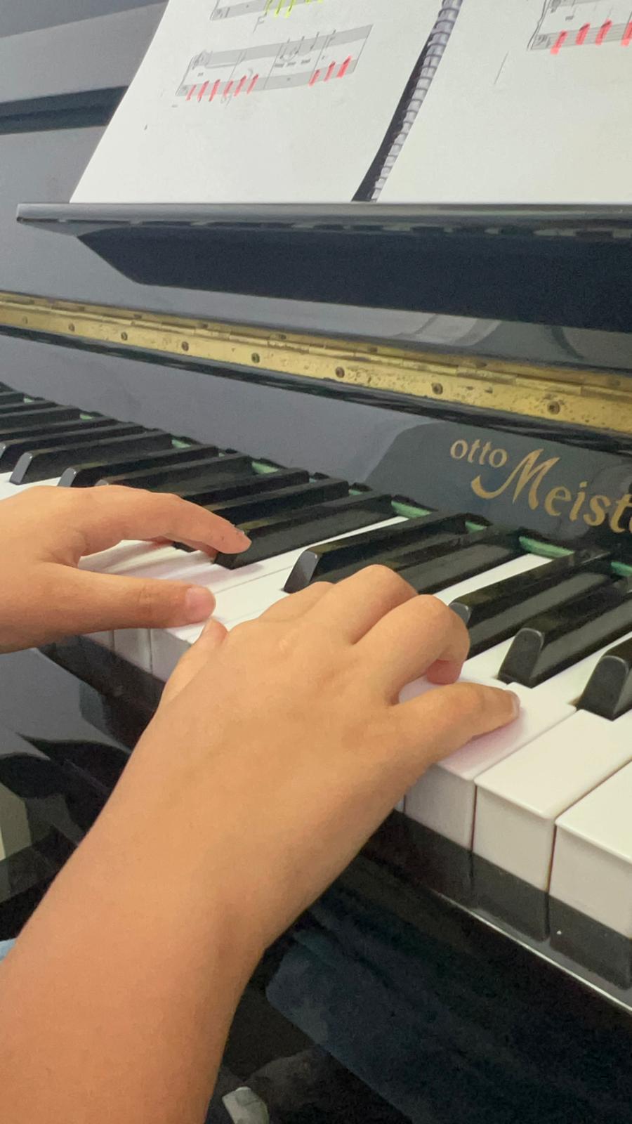 Tânia Correia - Castelo de Paiva - Music Theory Lessons