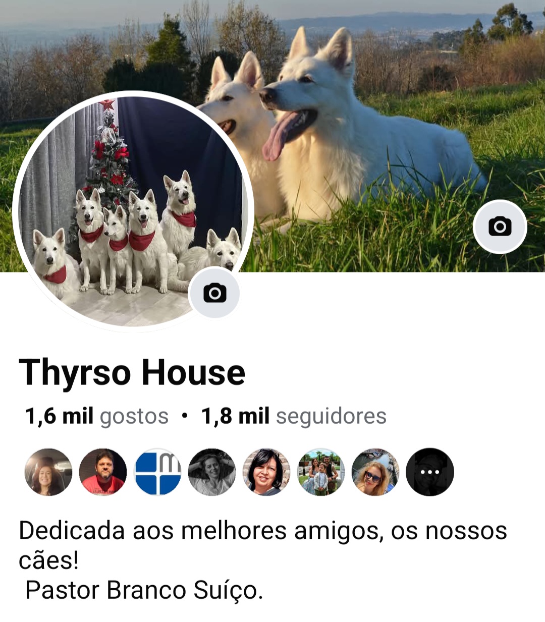 Thyrso House - Santo Tirso - Dog Walking