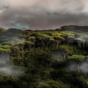 Nuno David Ferreira - Loures - Fotografia Comercial