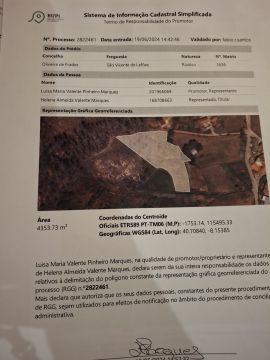 Arquiteto