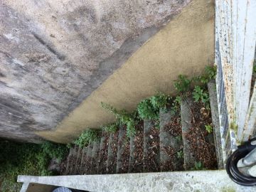Jardinería