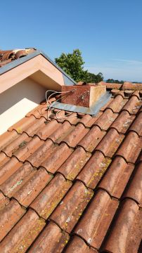 MultiHelp - Técnico Weslley - Barcelos - Teppich-, Vorlegerreinigung