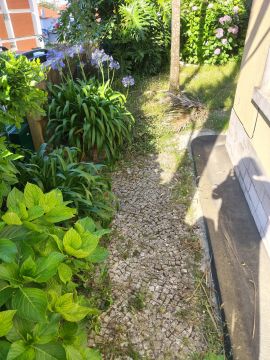 Jardinería - Hogar