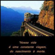 Elisabete narciso - Cartaxo - Limpeza a Fundo
