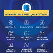 Jorge Vaz - Diretor Técnico PestSafe - Coimbra - Bed Bug Extermination