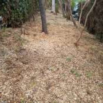 COR & ALEGRIA - SERVIÇOS DE MANUTENÇÃO, LDA - Coimbra - Greenhouse Services