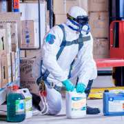 Jorge Vaz - Diretor Técnico PestSafe - Coimbra - Pest Extermination Companies
