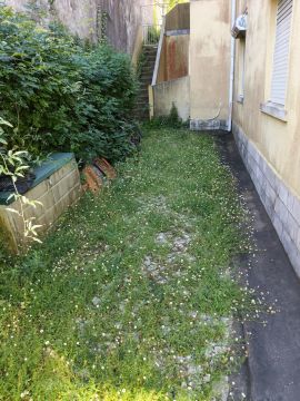 Servicio de Jardinero