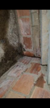 Reparación o mantenimiento de tejados - Tejados