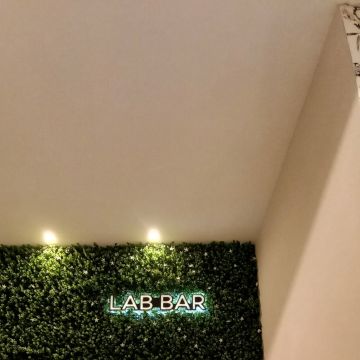 Criativa Instalações Técnicas - Amadora - Limpeza de Propriedade