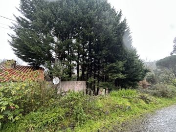 Jardinagem e Relvados
