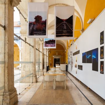 Duarte Semedo Costa - Sintra - Fotografia