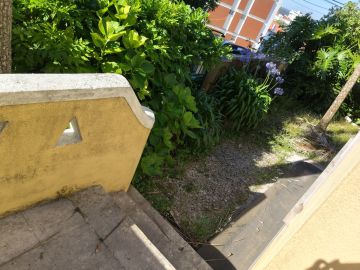Servicio de Jardinero - Hogar