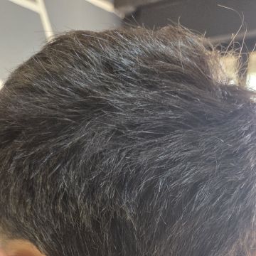 Miguel Mendes - Loures - Peluqueros