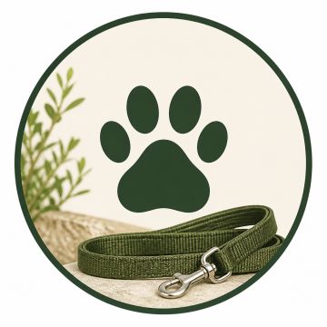 aminos - Porto - Dog Walking