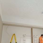 ricardo - Sintra - Electrical and Wiring Issues