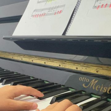 Tânia Correia - Castelo de Paiva - Music Theory Lessons