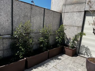 Serviço de Jardinagem