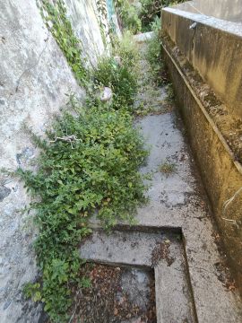 Jardinería