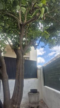 Jardinagem e Relvados