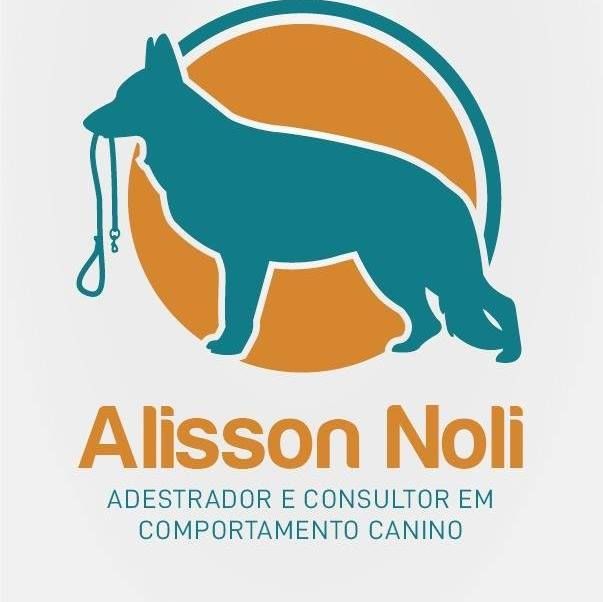 Alisson Noli da Silva - Cascais - Treino de Cães - Aulas