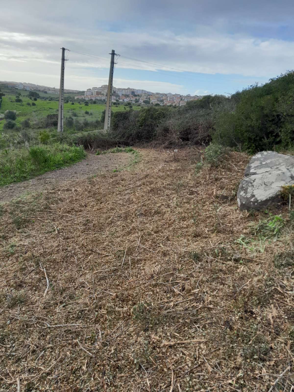 Limpeza de Terrenos - Jardinagem e Relvados