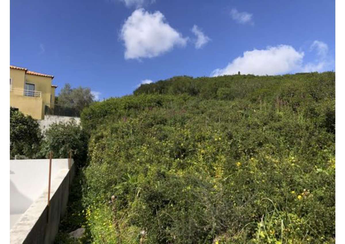Land clearance specialist
