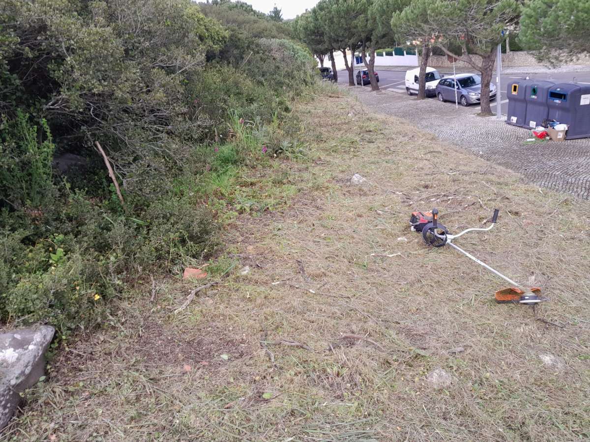 Especialista de Limpeza de Terrenos