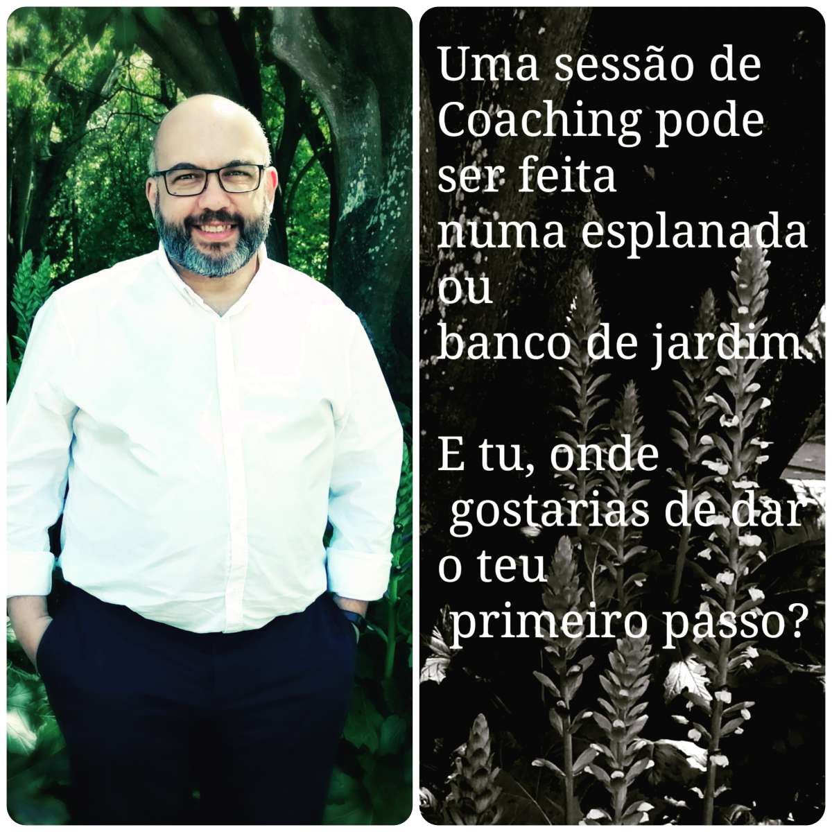 Paulo Sequeira - Lisboa - Coaching de Bem-estar